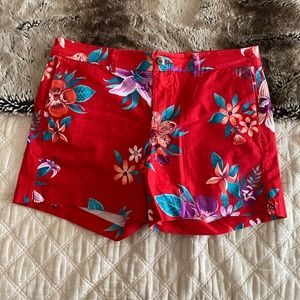 Everyday Shorts ☀️